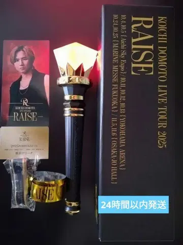 KOICHI DOMOTO LIVE TOUR 2025 RAISE 응원봉