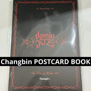 창빈 엽서북 스키즈