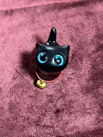 수단 고양이 만박