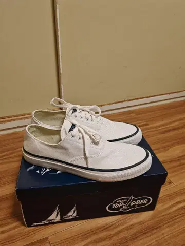 SPERRY TOP-SIDER 스페리 탑사이다 CVO