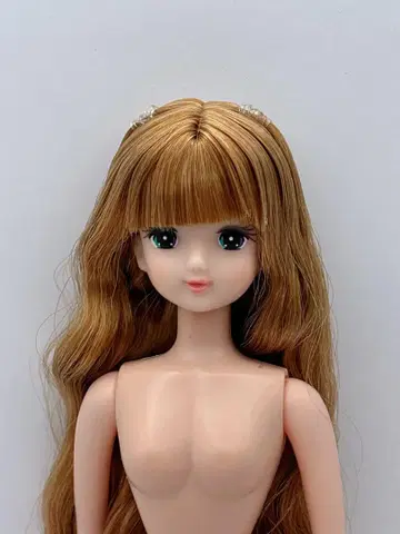 이즈미짱 오타노시미 인형 리카짱 캐슬 리카짱