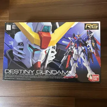 RG 데스티니 건담 미조립