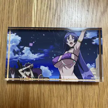 FGO EXPO 페스티벌 아크릴 블록 미나모토노 라이코 산조 호시
