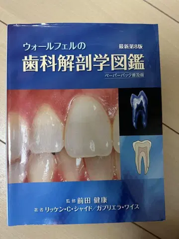 우올펠의 치과 해부학 도감 제8판