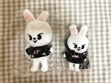 Leebit 2체 세트