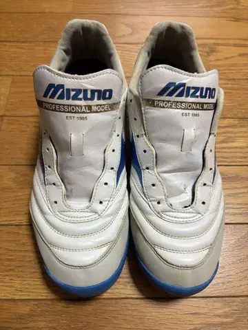 미즈노 모렐리아TF 29