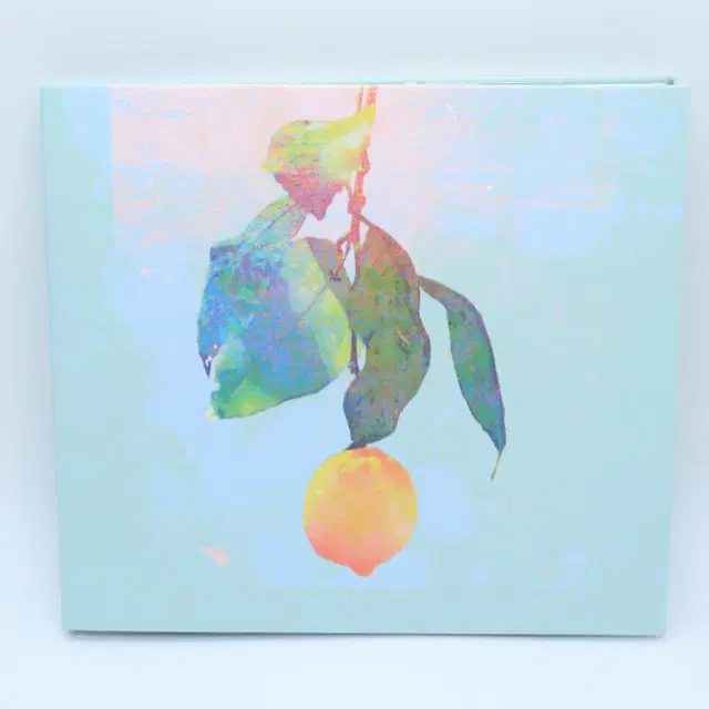 요네즈켄시 레몬 앨범 CD+DVD
