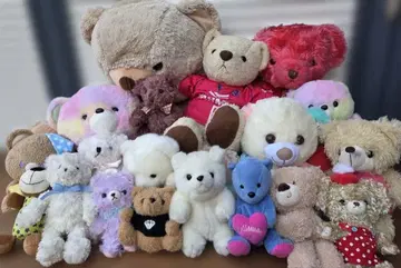 귀여운 곰 봉제 인형 세트 묶음 판매