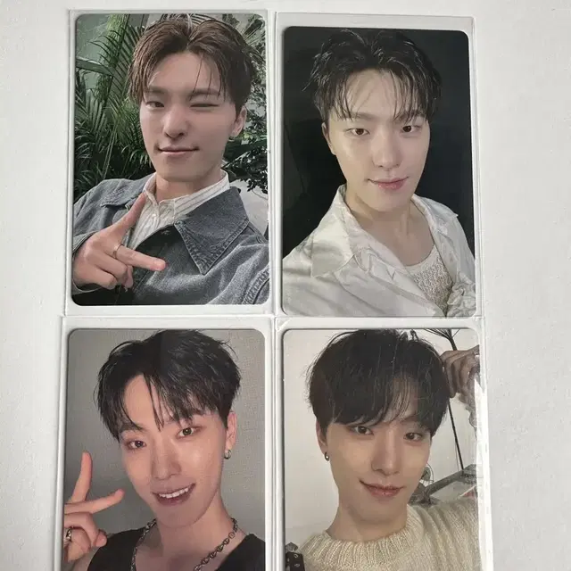 처분)세븐틴 디노 소비기한포카, 앨범포카, 고양콘 양도합니다.