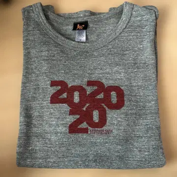 2020 라이브 투어 기념 T셔츠 M 사이즈 그레이