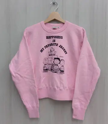BUZZ RICKSON'S BEAMS JAPAN 한정 컬러 스누피