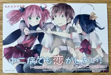 중2병이라도 사랑이 하고 싶어! 경계의 저편 특전 리버서블 엽서