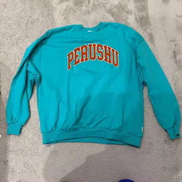 Perushu 터콰이즈 트레이닝복 L 사이즈