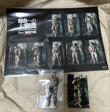 람페 하세가와 신 세트