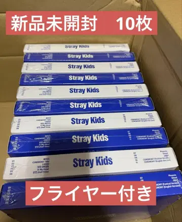 Stray Kids KARMA 10장 세트 플라이어 컴플리트 x 2