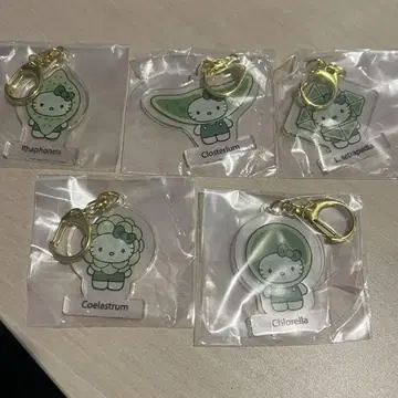 [일본관 한정판] 오사카 간사이 만박 모키티 아크릴 키링 5종 세트