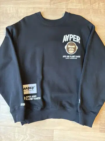 AAPE 트레이닝복