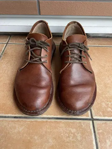 Forest shoemaker