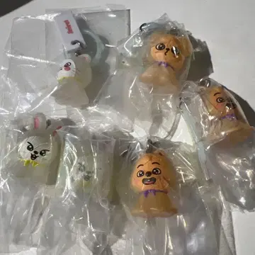스키즈 메지루시 참