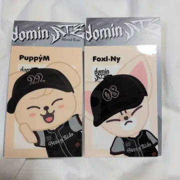 StrayKids SKZOO PuppyM & Fox!Ny 에코파