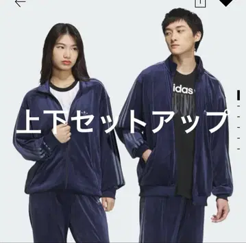 adidas 베켄바우어 벨로아 트랙 자켓 상하의 셋업