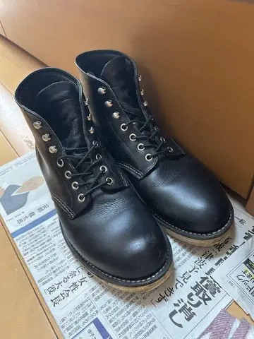 REDWING 레드윙 아이리쉬 세터 8165 8.5D