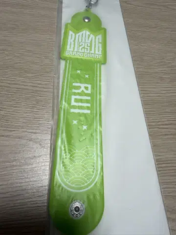 BMSGFES25 스타 글로 루이