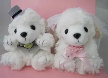 새상품 mm 웨딩 애니멀 화이트 푸들 (웰컴 인형, 결혼식, 봉제 인형)