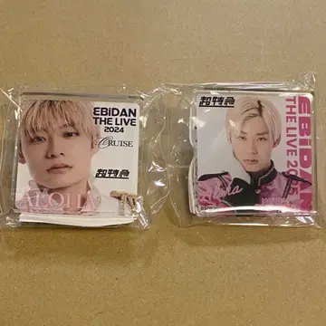 에비라이 2024 2025 초특급 알로하 아크릴 클립