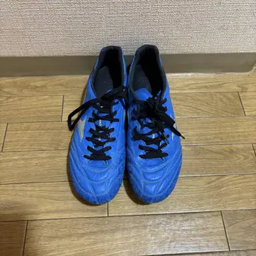 모나르시다 NEO