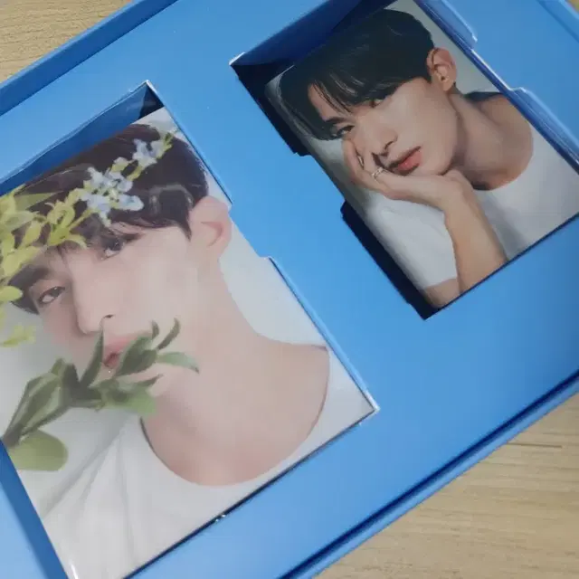 (급처)세븐틴 캐럿반 도겸 미개봉 판매!!