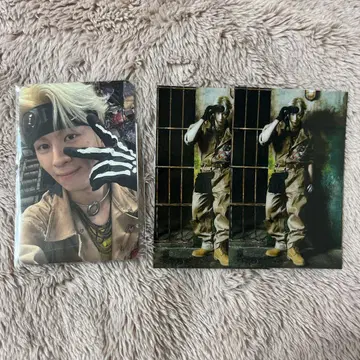 하세가와 신 트레이딩 카드
