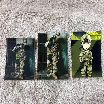 하세가와 마코토 트레이딩 카드
