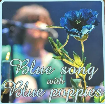 the pillows Blue song with Blue poppies