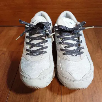 미즈노 웨이브 프로페시 자수 팩 그레이 26.5cm