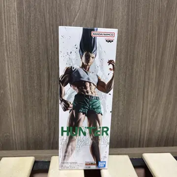 HUNTER 곤 프리 피규어