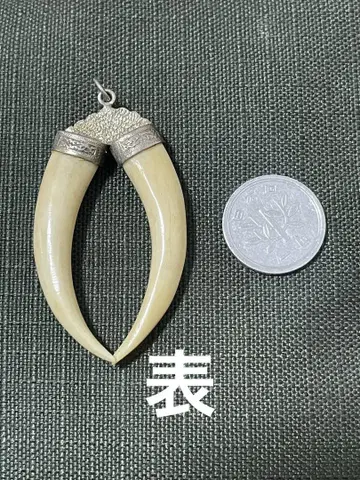 어금니? 손톱? 펜던트 탑