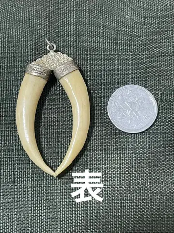 어금니? 손톱? 펜던트 탑