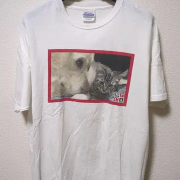 Hanes 개와 고양이 프린트 T셔츠 L
