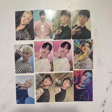 호시 트레이딩 카드 12장 세트