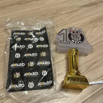10th WEST. AWARD 응원봉