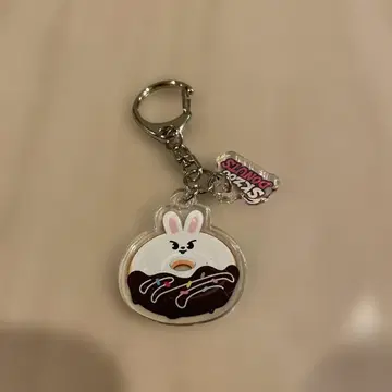 straykids 스키즈 아크릴 키링 리빗 리노