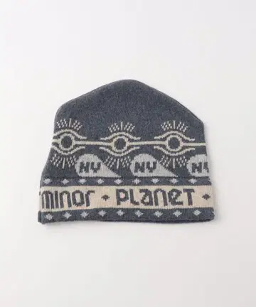 minor PLANET 비니