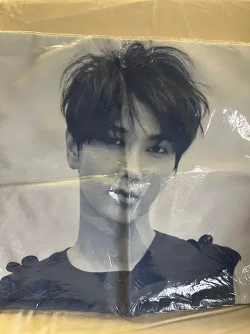 예성 Yesung SUPER JUNIOR 쿠션 커버