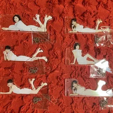 하로 프로젝트 하로프로 놓을 수 있는 키링