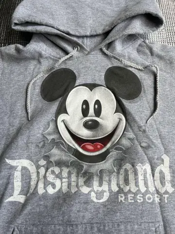 Hanes x Disneyland / 그레이 후디 VINTAGE