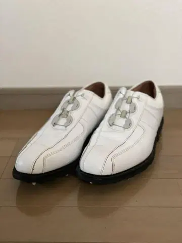 FootJoy 화이트 골프화