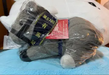 골드십 제57회 아리마 기념