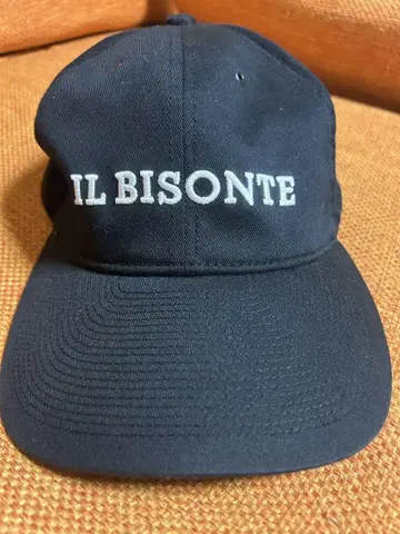IL BISONTE / 일비종떼 캡