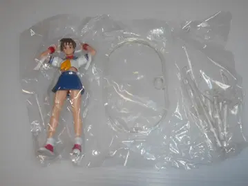 캡콤 피규어 컬렉션 사립 저스티스 학원 사쿠라